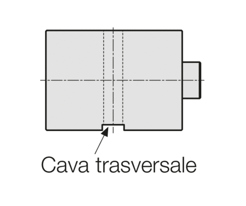 Cava trasversale Cava trasversale